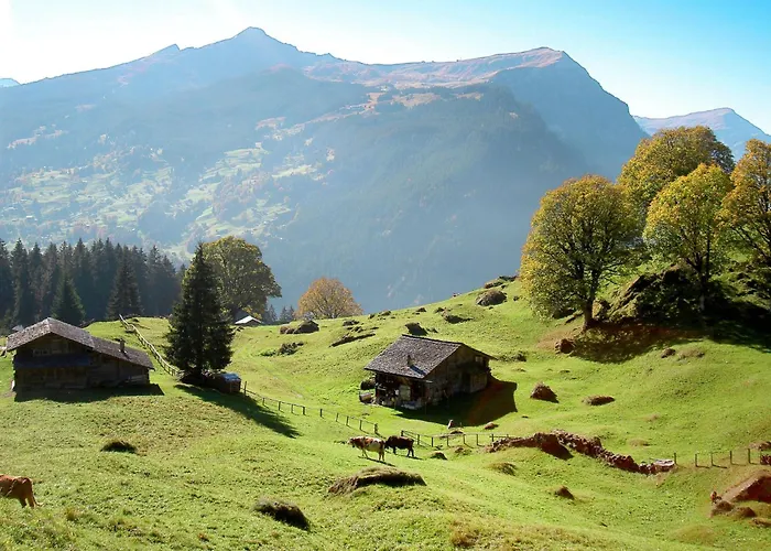 Alpengluehen By Interhome شقة جريندلوالد